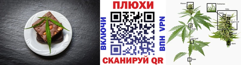 Cannafood конопля  Монино 